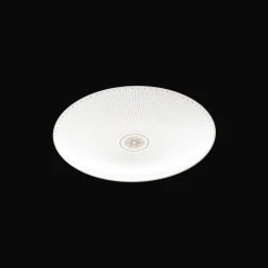 Assiette à dessert/gâteaux en porcelaine finition Platine