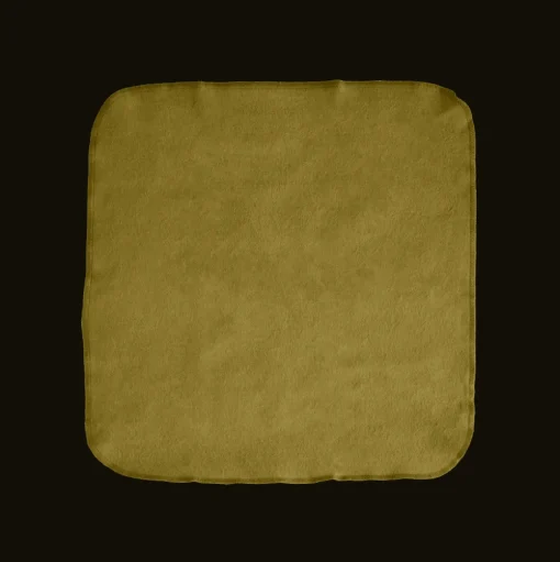 Boîte chamoisine