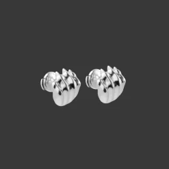 Boucles d'Oreilles en Argent Massif Rhodié