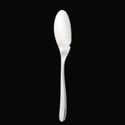 Couteau à poisson / cuillère à sauce individuelle en acier