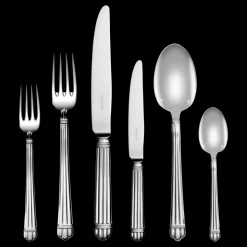 Ensemble pour 6 personnes (36 pièces) en métal argenté avec boîte de rangement