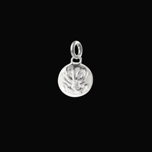 Médaille en Argent Massif - Peau de Lion