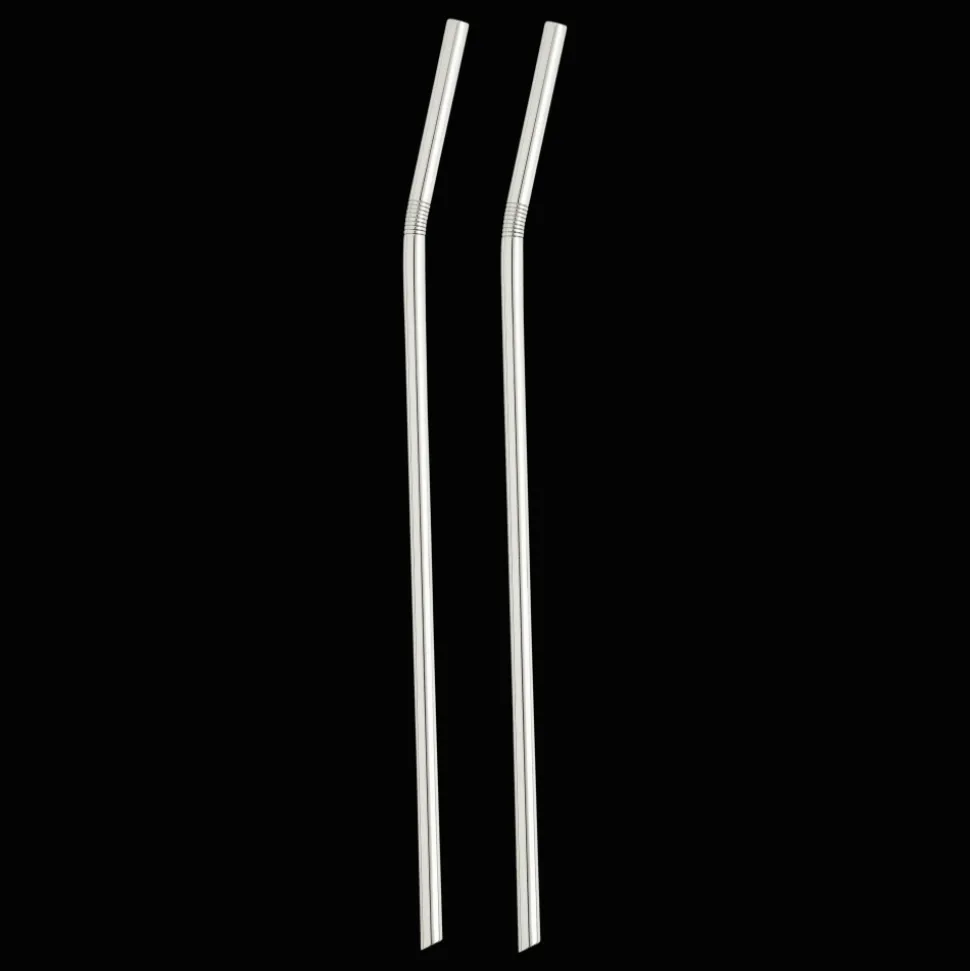 Set de 2 pailles en métal argenté